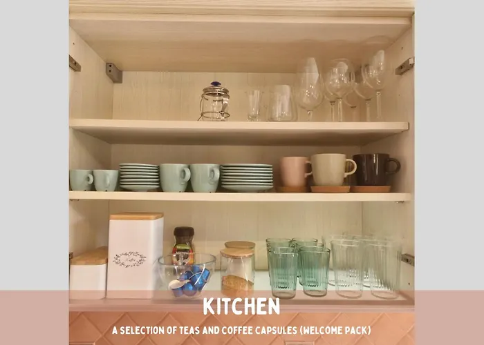 Pardubsky * リュブリャナ